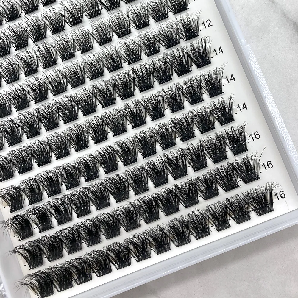 lash clusters