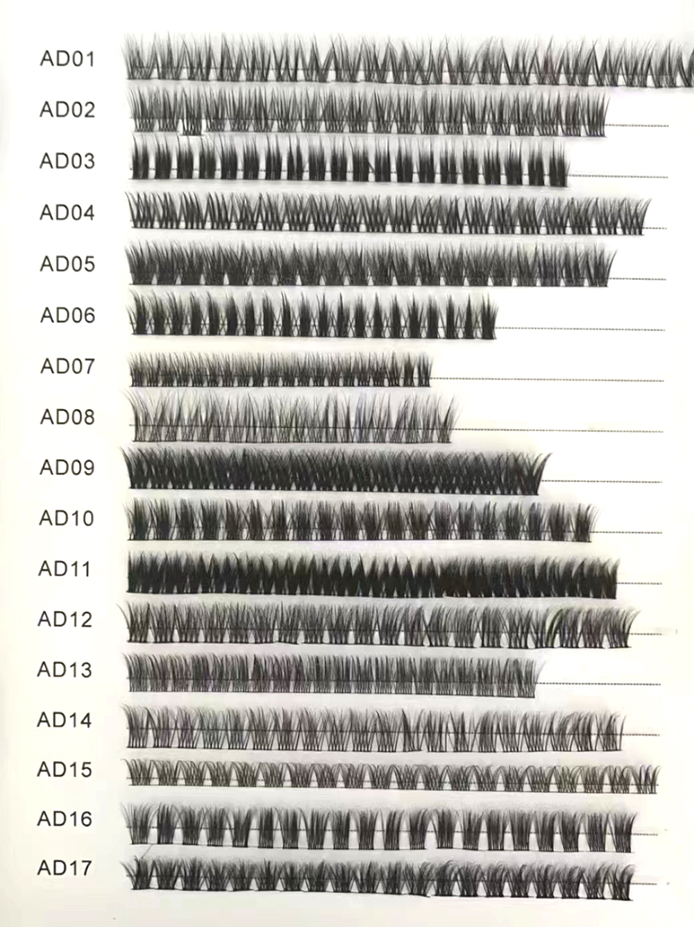 segment lashes