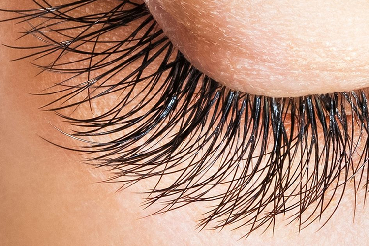 What helps lashes grow?