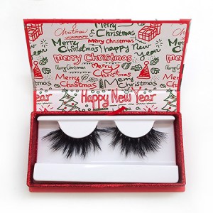 christmas lash box